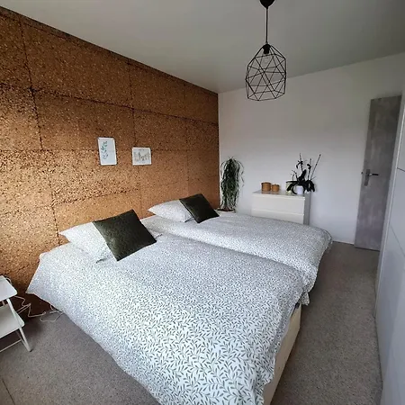 Charmante Maison Familiale * Rixheim