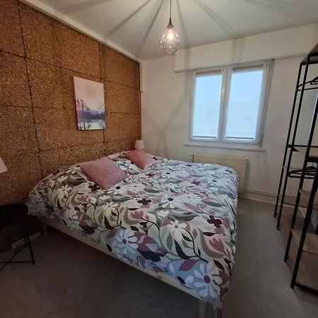 Charmante Maison Familiale * Rixheim